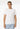 Camiseta Tiffosi 10048304