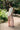 Calça wide leg Ferrache estampada com cintura subida e tecido fluido.