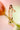 Jardineira Bloom 23254